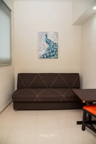 Jr. Suite king c/sofá